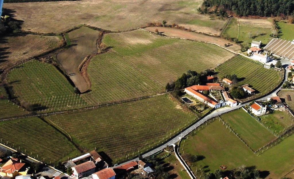 Quinta De Santa Baia ξενώνας Gaifar Εξωτερικό φωτογραφία